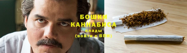 прущие грибы Нязепетровск