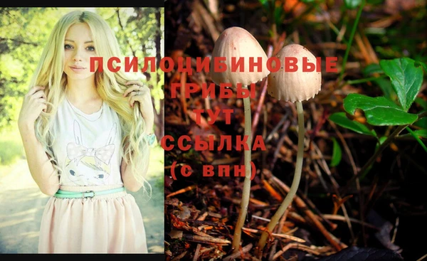 прущие грибы Нязепетровск