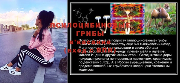 прущие грибы Нязепетровск