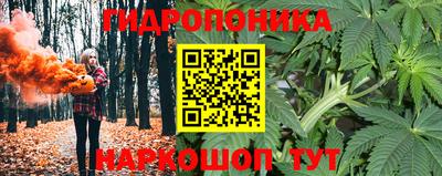 гидропоника Азнакаево