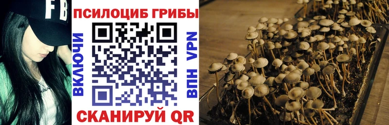 где найти наркотики  Асбест  Псилоцибиновые грибы мухоморы 