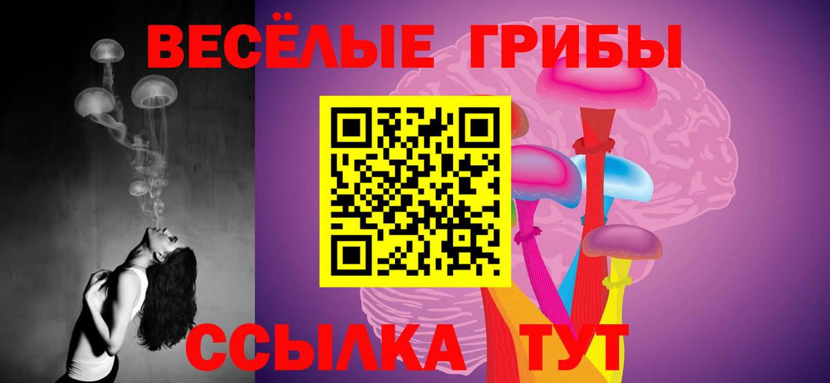 МЕФ кристаллы  Асбест  МДМА  Марихуана  Вход с VPN  НБОМе  Экстази  COCAIN  ГАШ  Гашиш 